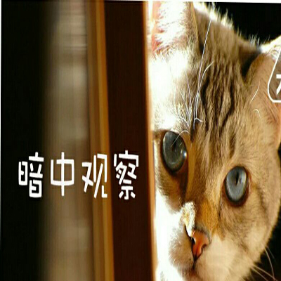 苦命媽媽3天擺脫無情夫